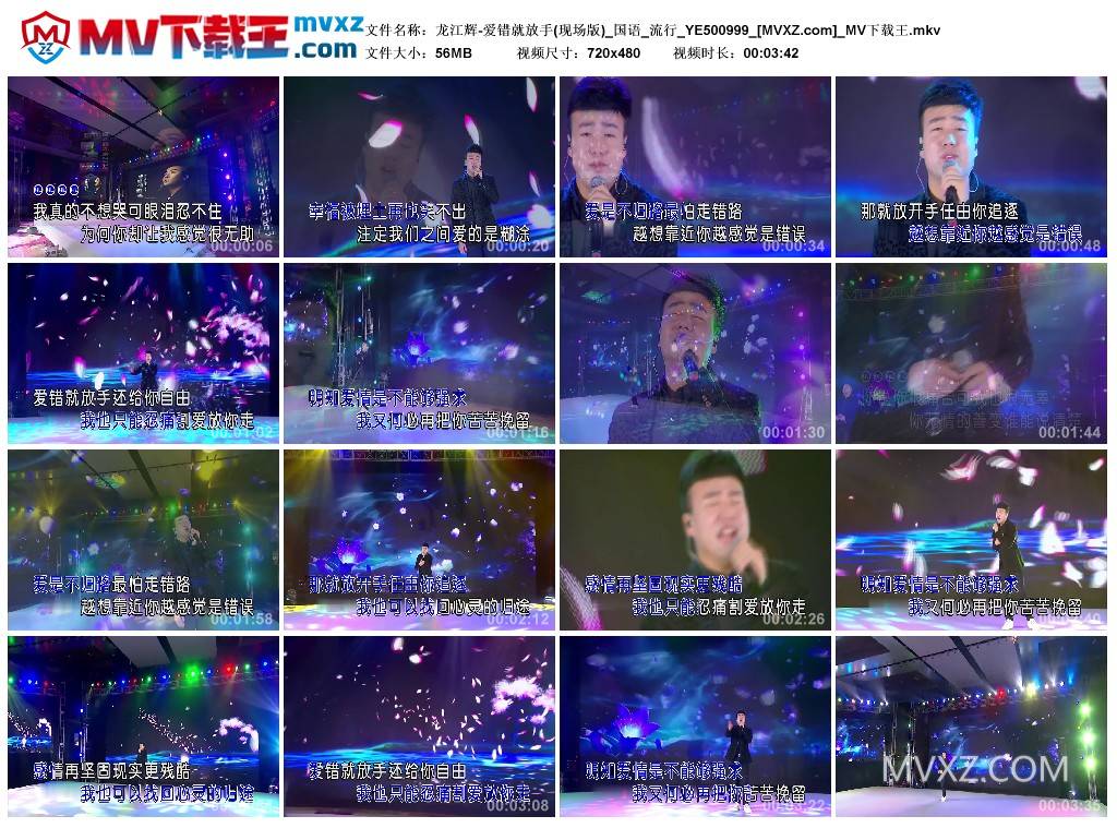 龙江辉-爱错就放手(现场版)_国语_流行_YE500999